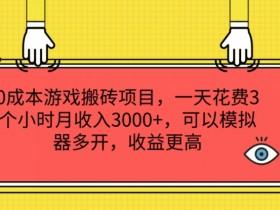 游戏搬砖创业项目直播，如何通过直播展示游戏搬砖项目并吸引投资
