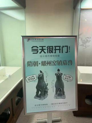 网易CC奈小喵舞蹈视频精选，最受欢迎的舞蹈表演