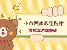 游戏搬砖创业项目直播，如何通过直播展示游戏搬砖项目并吸引投资