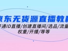虚拟直播间与多平台同步直播技巧,通过虚拟直播间实现多平台的同步直播 虚拟直播间与多平台同步直播技巧,通过虚拟直播间实现多平台的同步直播