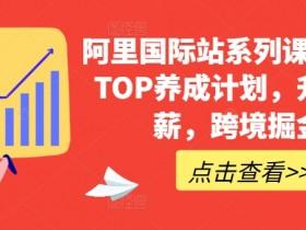 国际站运营自学网站推荐，推荐的国际站运营自学网站与平台