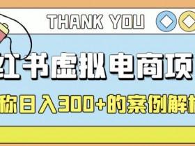 如何找到学科资料资源，小红书虚拟项目的核心玩法解析