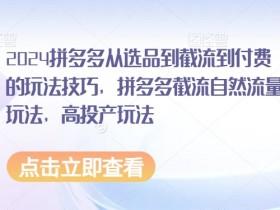 拼多多无人直播带货能赚钱吗，详细解读盈利模式与案例