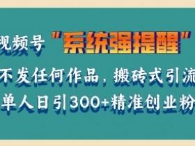 2025视频号无人直播新玩法，中老年市场的蓝海项目拆解
