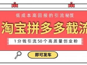 拼多多无人直播卖货是真的吗，从操作到收益全方位解析
