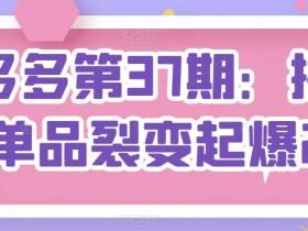 拼多多无人直播盈利模式,轻松实现日入千元的运营方法 拼多多无人直播盈利模式,轻松实现日入千元的运营方法