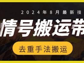抖音直播带货项目计划书，从策划到执行的完整模板