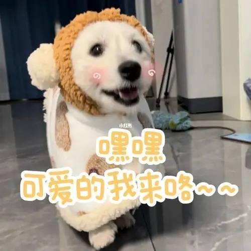 夏诗诗VV超火助眠定制asmr视频水平如何？