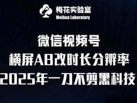2025视频号无人直播新玩法，中老年市场的蓝海项目拆解