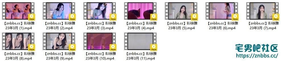 韩国BJ徐雅 2023年1-3月份直播热舞视频合集【55V/13.7G】