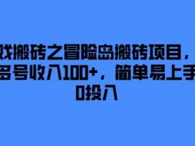 游戏搬砖项目如何突破流量瓶颈，解决游戏搬砖项目中流量瓶颈的策略