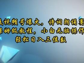 2025视频号无人直播新玩法，中老年市场的蓝海项目拆解