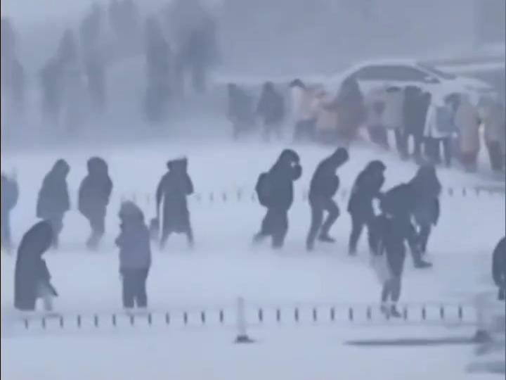 B站清月已经不困了舰长定制服务曝光,舰长内容深度剖析 B站清月已经不困了舰长定制服务曝光,舰长内容深度剖析