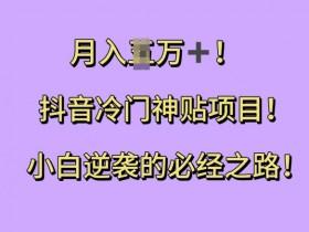 抖音直播带货的新玩法,抓住红利期实现销量倍增 抖音直播带货的新玩法,抓住红利期实现销量倍增