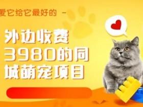 实体店获客特训营,从短视频到直播全方位解决流量难题 实体店获客特训营,从短视频到直播全方位解决流量难题