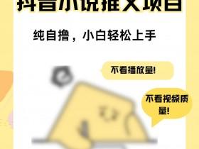 抖音营销策划的核心要素是什么，提升推广效果的关键因素