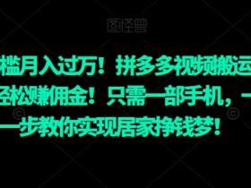 拼多多无人直播需要具备什么条件,快速入门的硬件与软件要求 拼多多无人直播需要具备什么条件,快速入门的硬件与软件要求