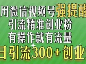 2025视频号无人直播新玩法，中老年市场的蓝海项目拆解