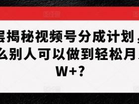 2025视频号直播新玩法，普通人如何快速抓住流量红利？
