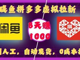 拼多多无人直播适合哪些人做，新手必读的入门指南