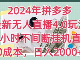 拼多多无人直播带货能赚钱吗，详细解读盈利模式与案例