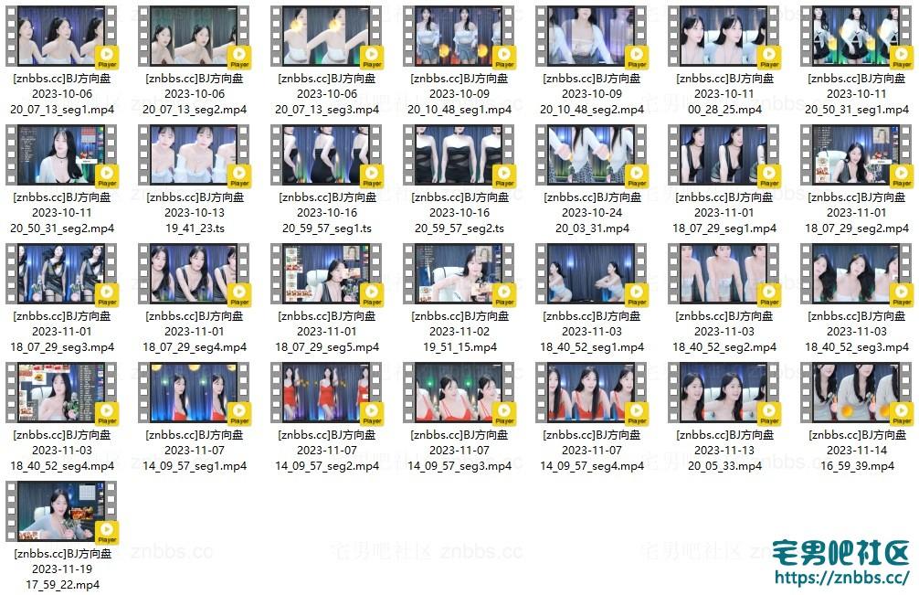 韩国BJ方向盘(汉娜) 2023年10-11月份直播热舞视频合集【29V/4.87G】