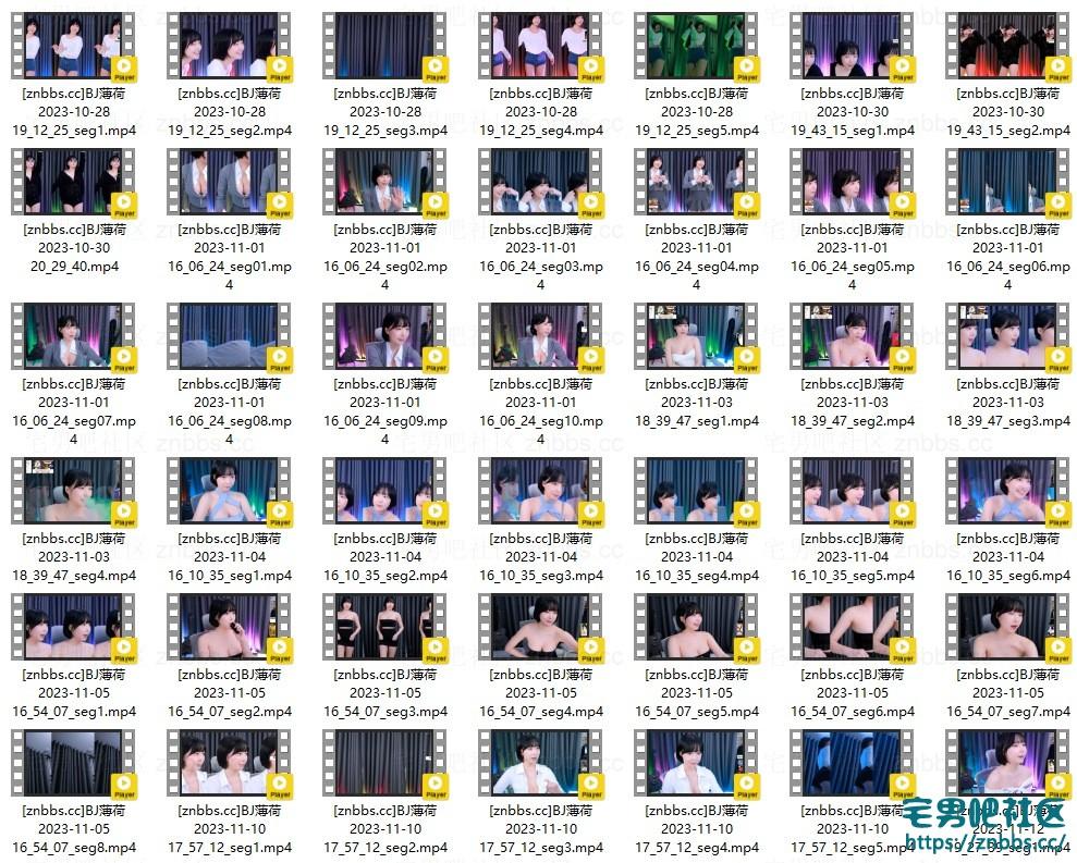 韩国BJ薄荷 2023年10-11月份直播热舞视频合集【53V/14.5G】