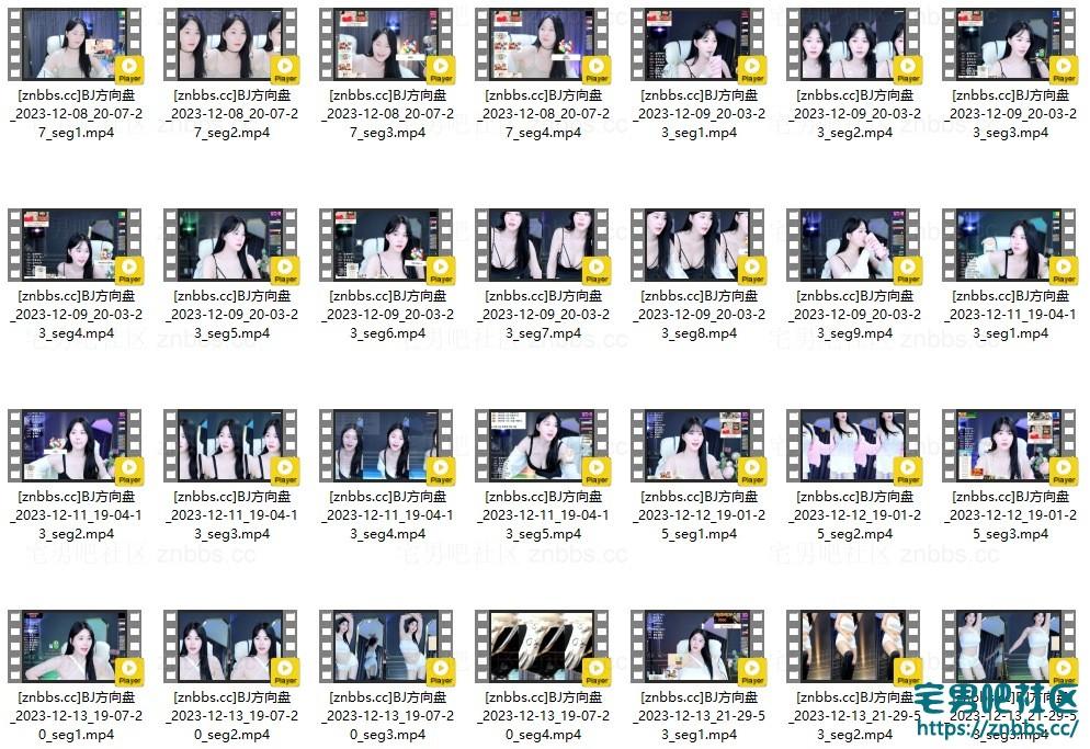 韩国BJ方向盘(汉娜) 2023年12月份直播热舞视频合集【33V/5.06G】 韩国BJ方向盘(汉娜) 2023年12月份直播热舞视频合集【33V/5.06G】