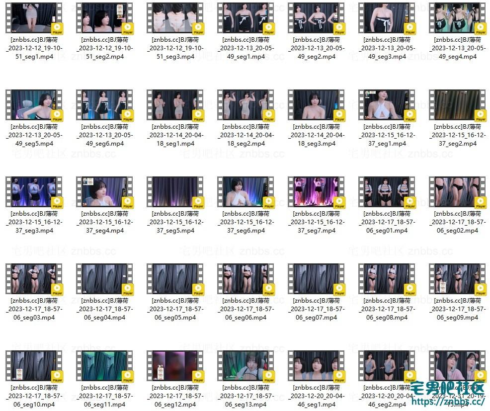 韩国BJ薄荷 2023年12月份直播热舞视频合集【70V/14G】