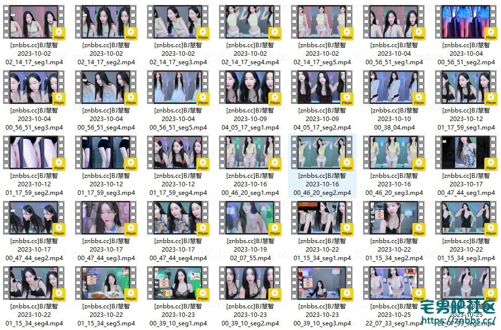 韩国BJ慧智 2023年10-12月份直播热舞视频合集【127V/24G】